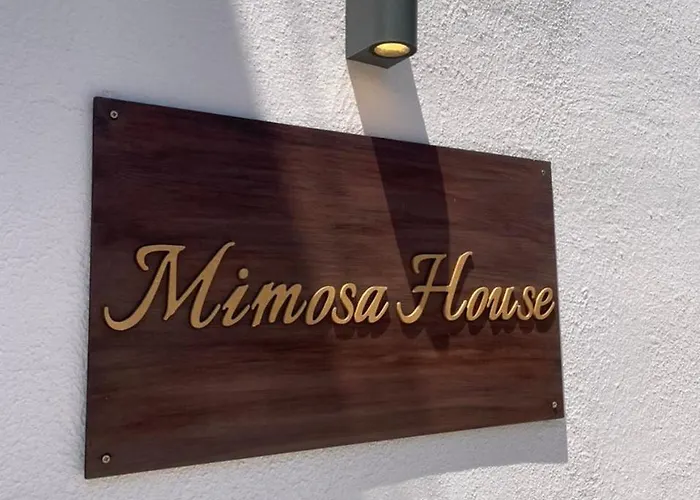 Vakantiehuis Mimosa House